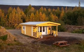 Kalda Lyngholt